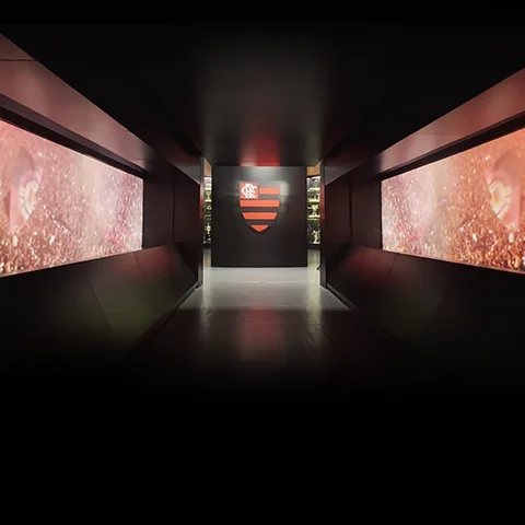 Interior do Museu Flamengo